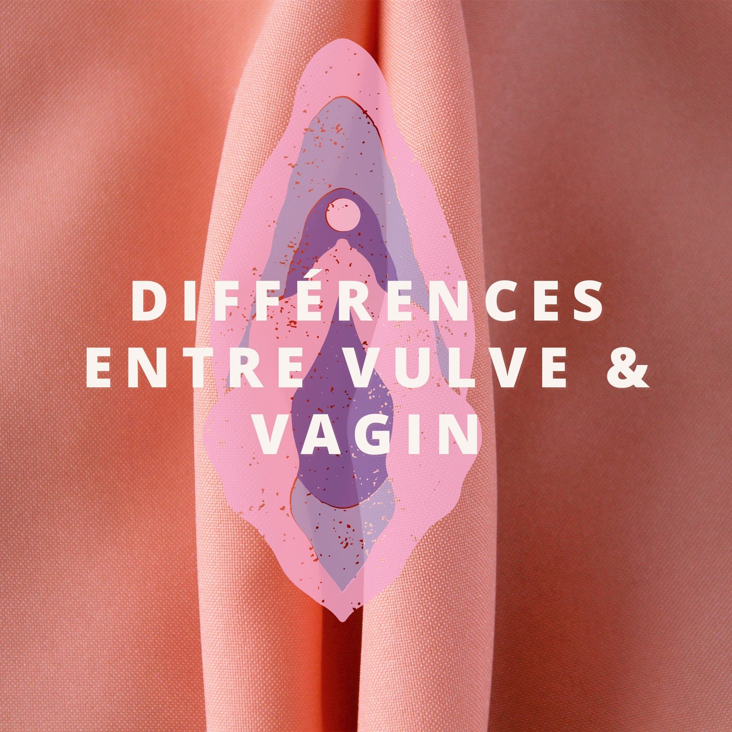 Vulve Vs Vagin Comprendre Les Différences Pour Mieux Prendre Soin De 6298
